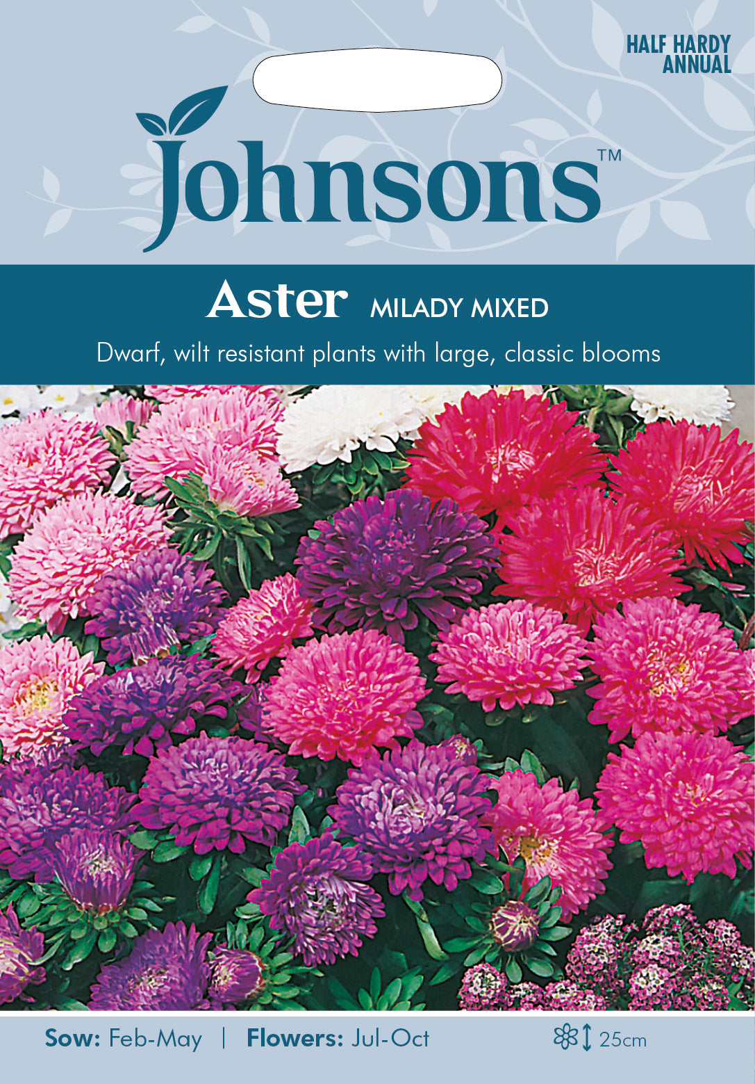 ASTER Milady Mixed