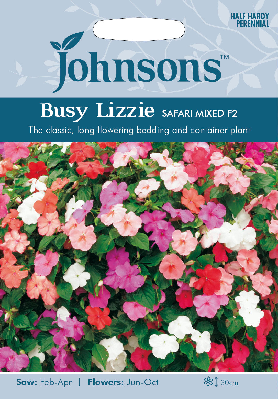 BUSY LIZZIE Safari Mixed F2