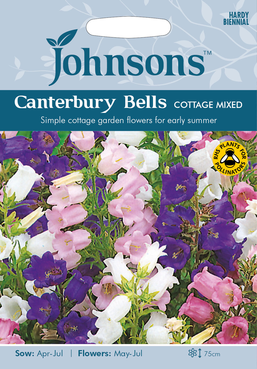 CANTERBURY BELLS Cottage Mixed