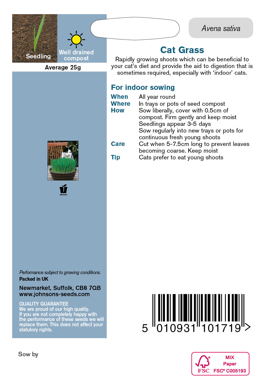 CAT GRASS Avena sativa