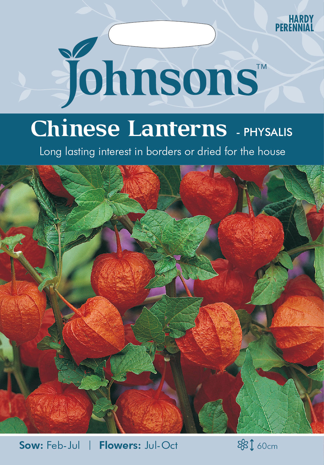 CHINESE LANTERNS Physalis