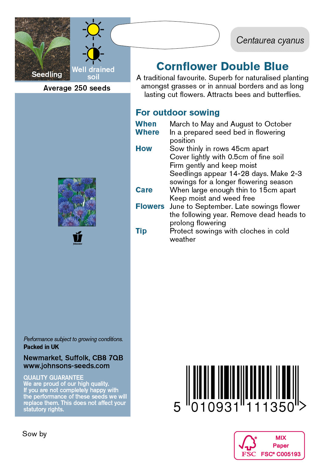 CORNFLOWER Double Blue