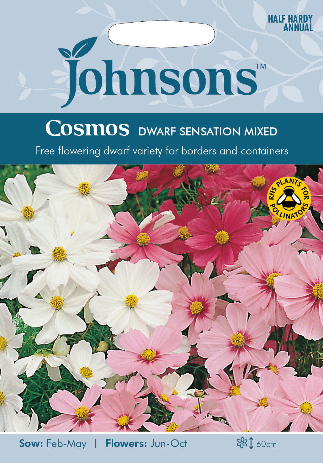 COSMOS Dwarf Sensation Mixed