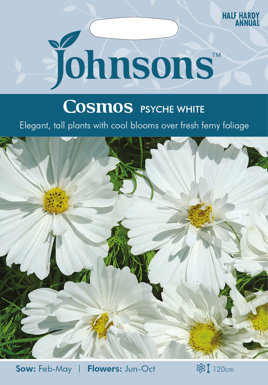 COSMOS Psyche White