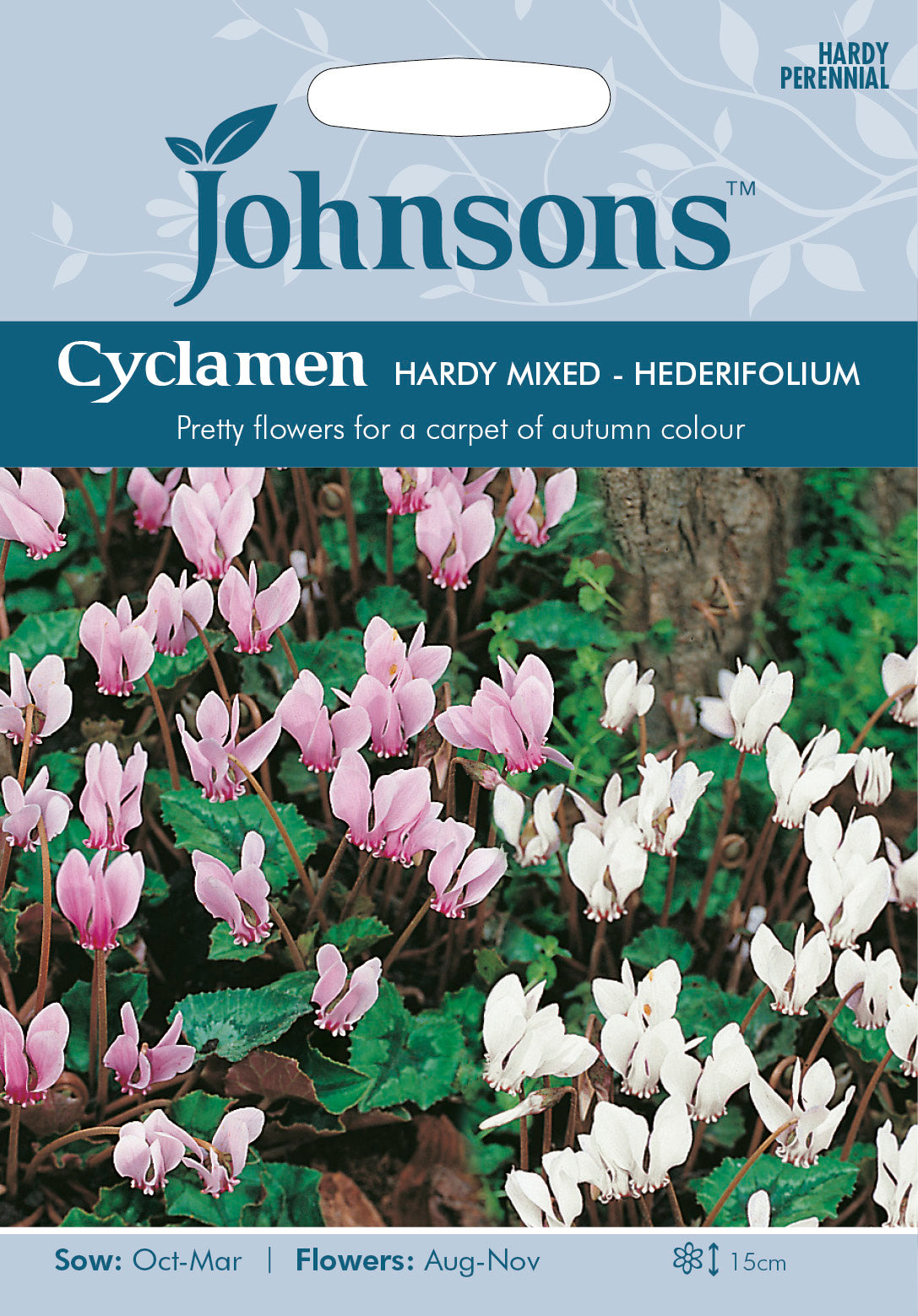 CYCLAMEN Hardy Mixed hederifolium