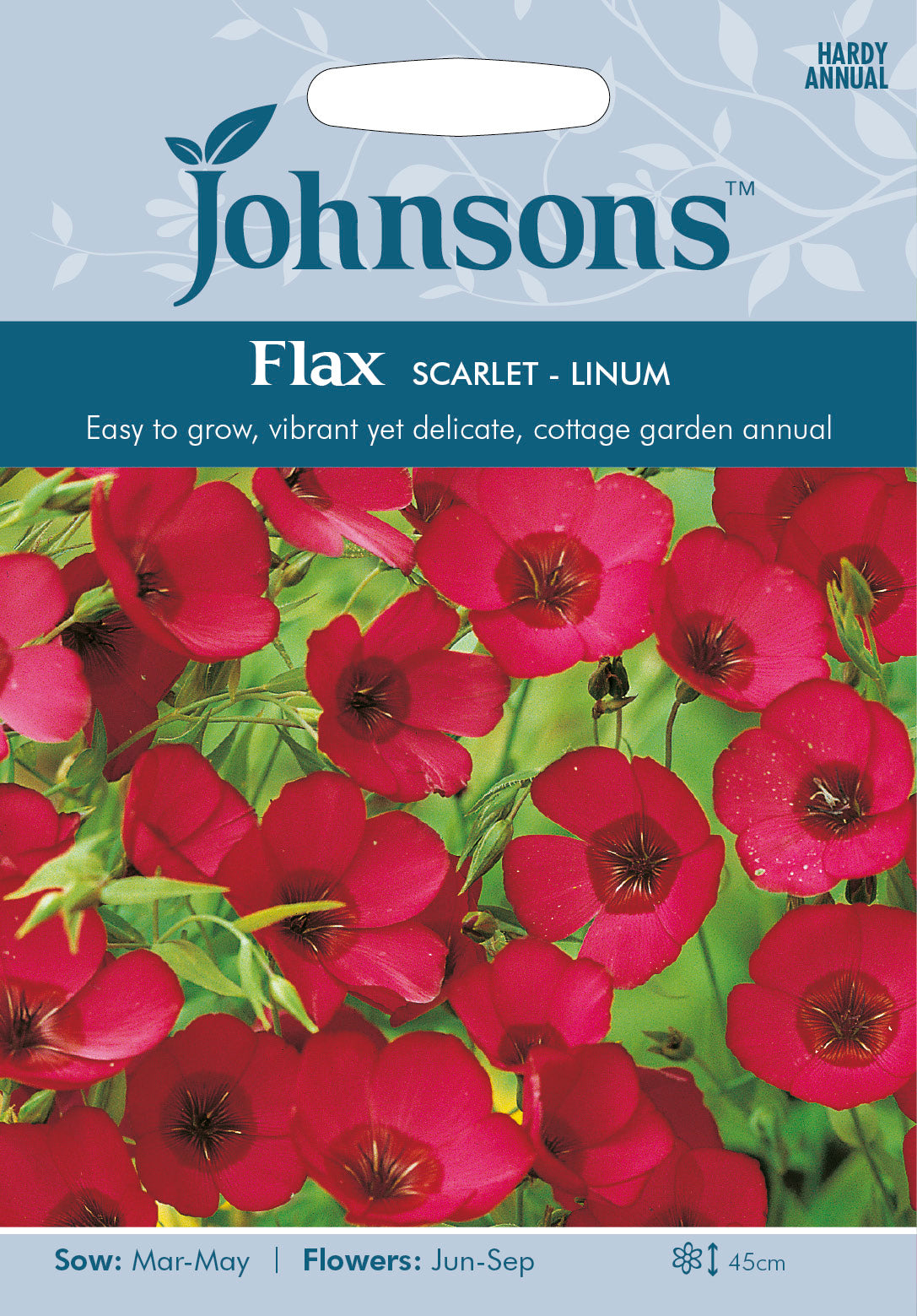 FLAX Scarlet Linum