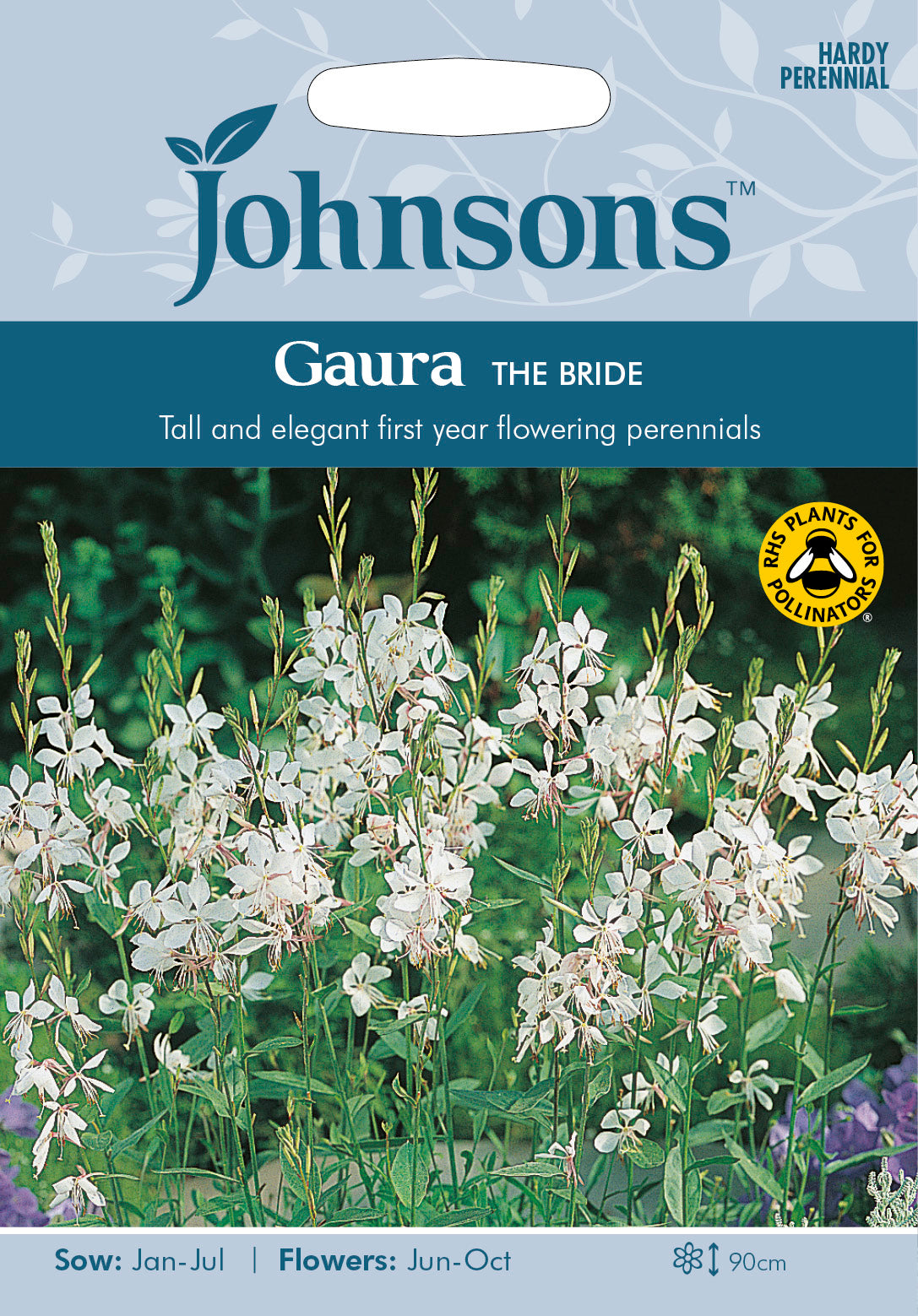 GAURA The Bride