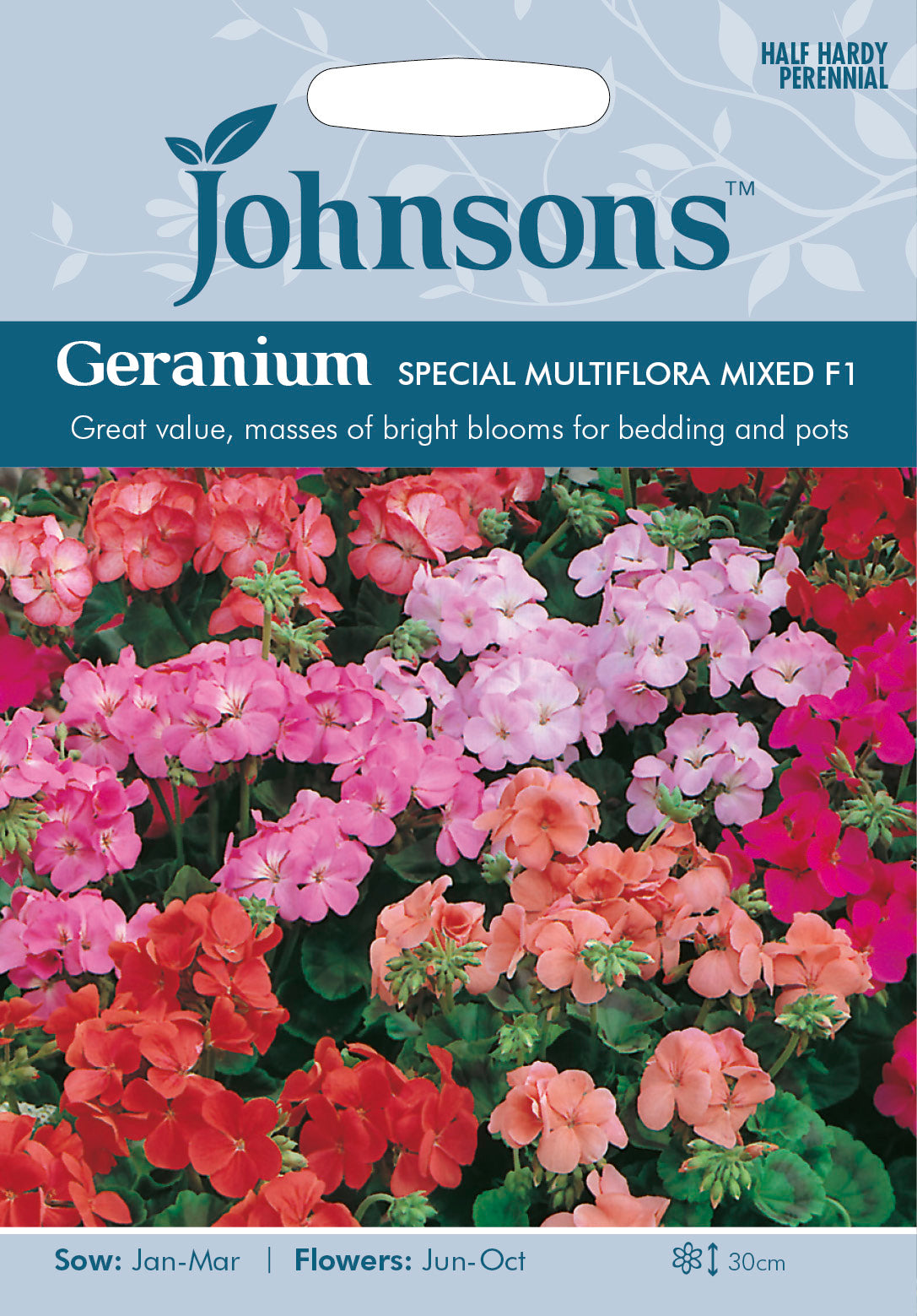 GERANIUM Special Multiflora Mixed F1
