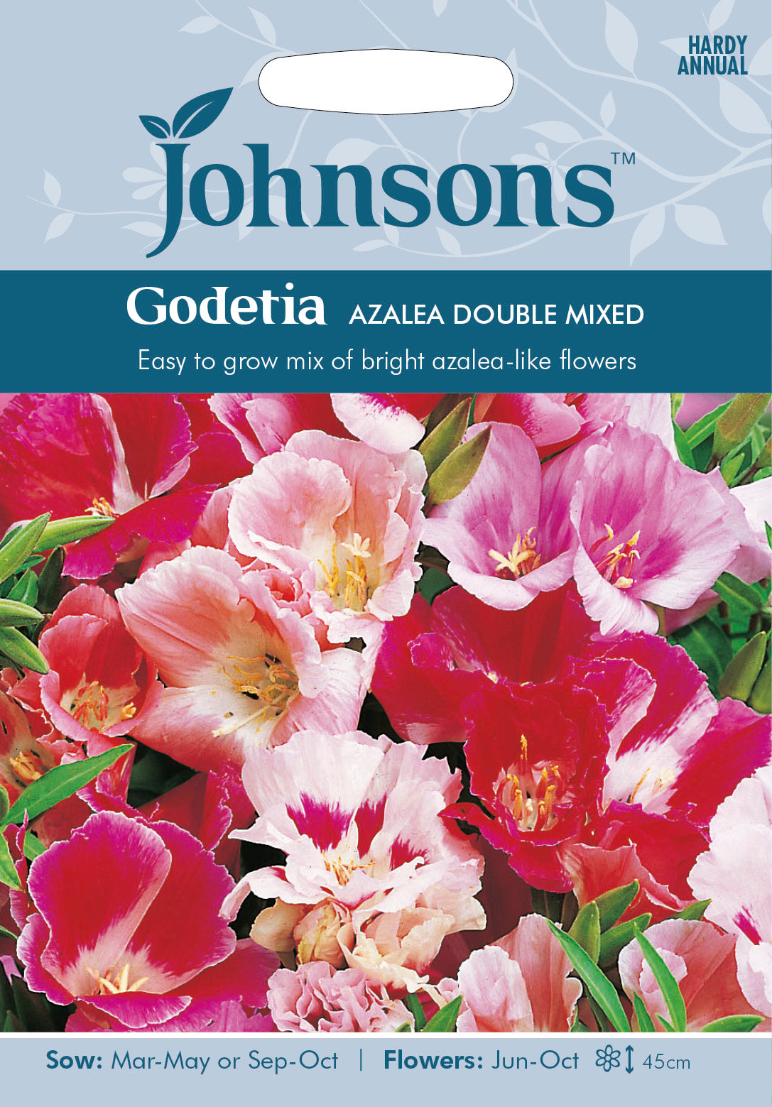GODETIA Azalea Double Mixed