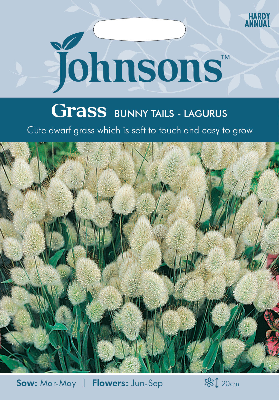 GRASS Bunny Tails Lagurus