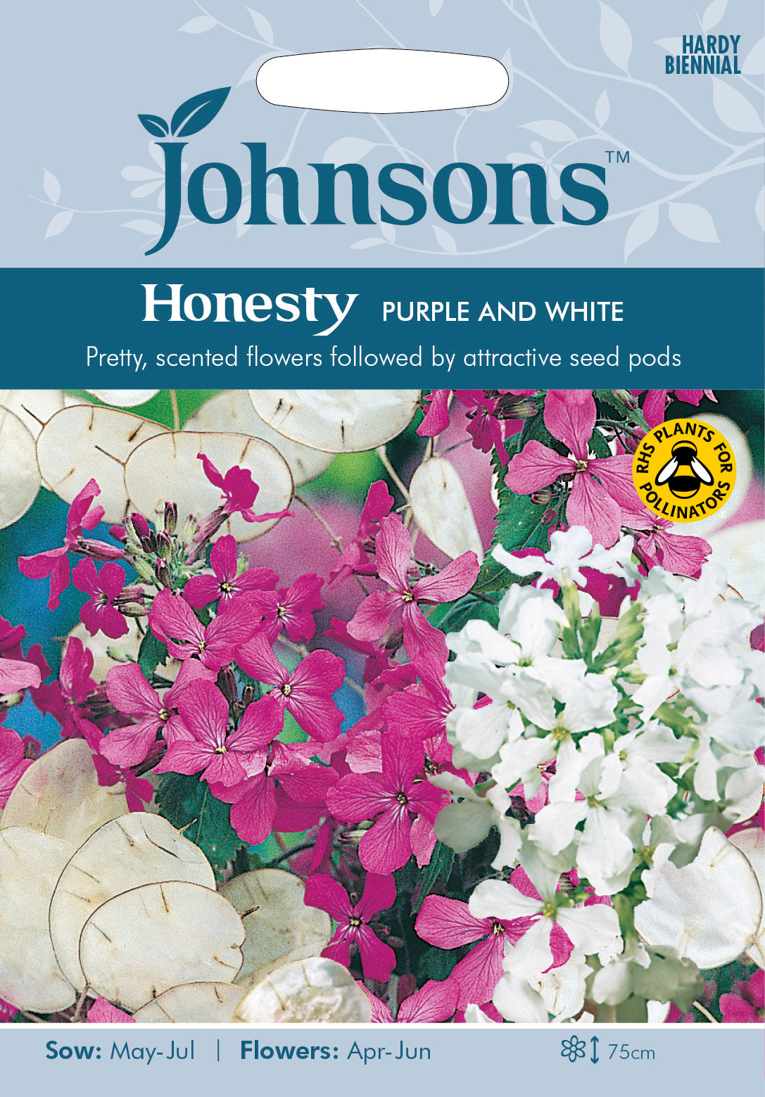 HONESTY Purple and White
