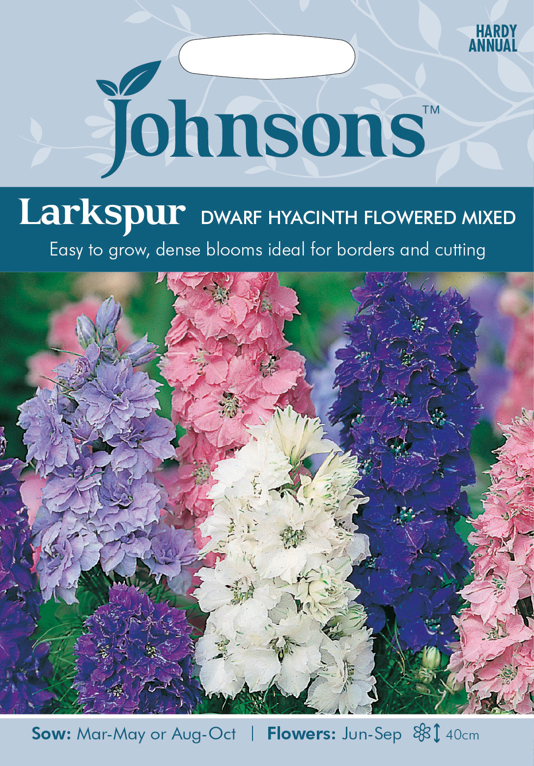 LARKSPUR Dwarf Hyacinth Flowered Mixed