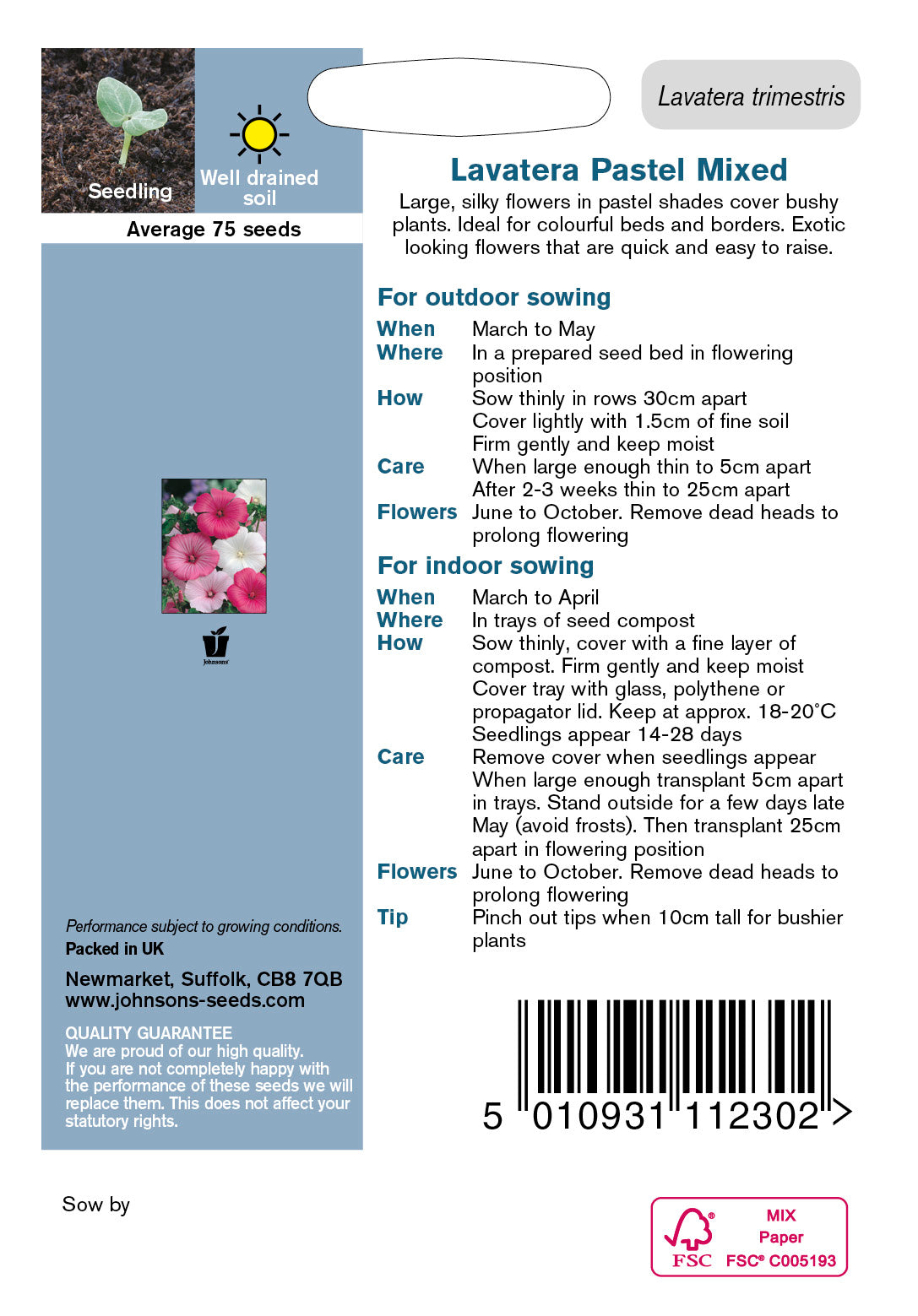 LAVATERA Pastel Mixed