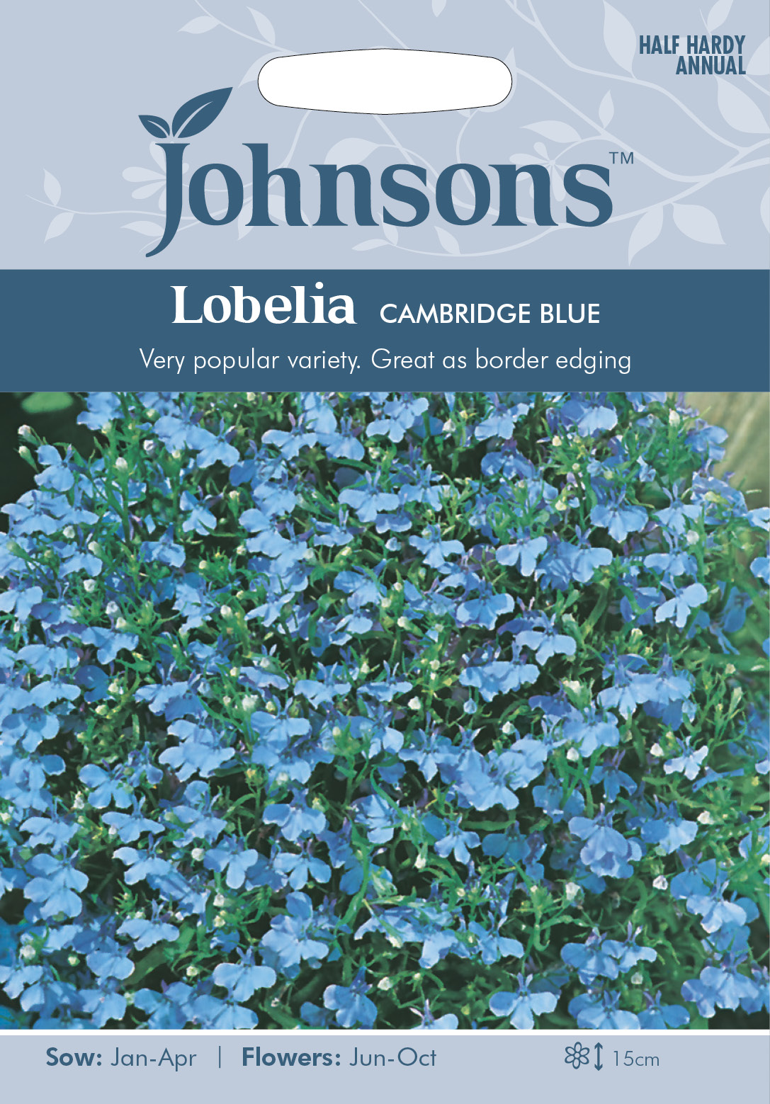 LOBELIA Cambridge Blue