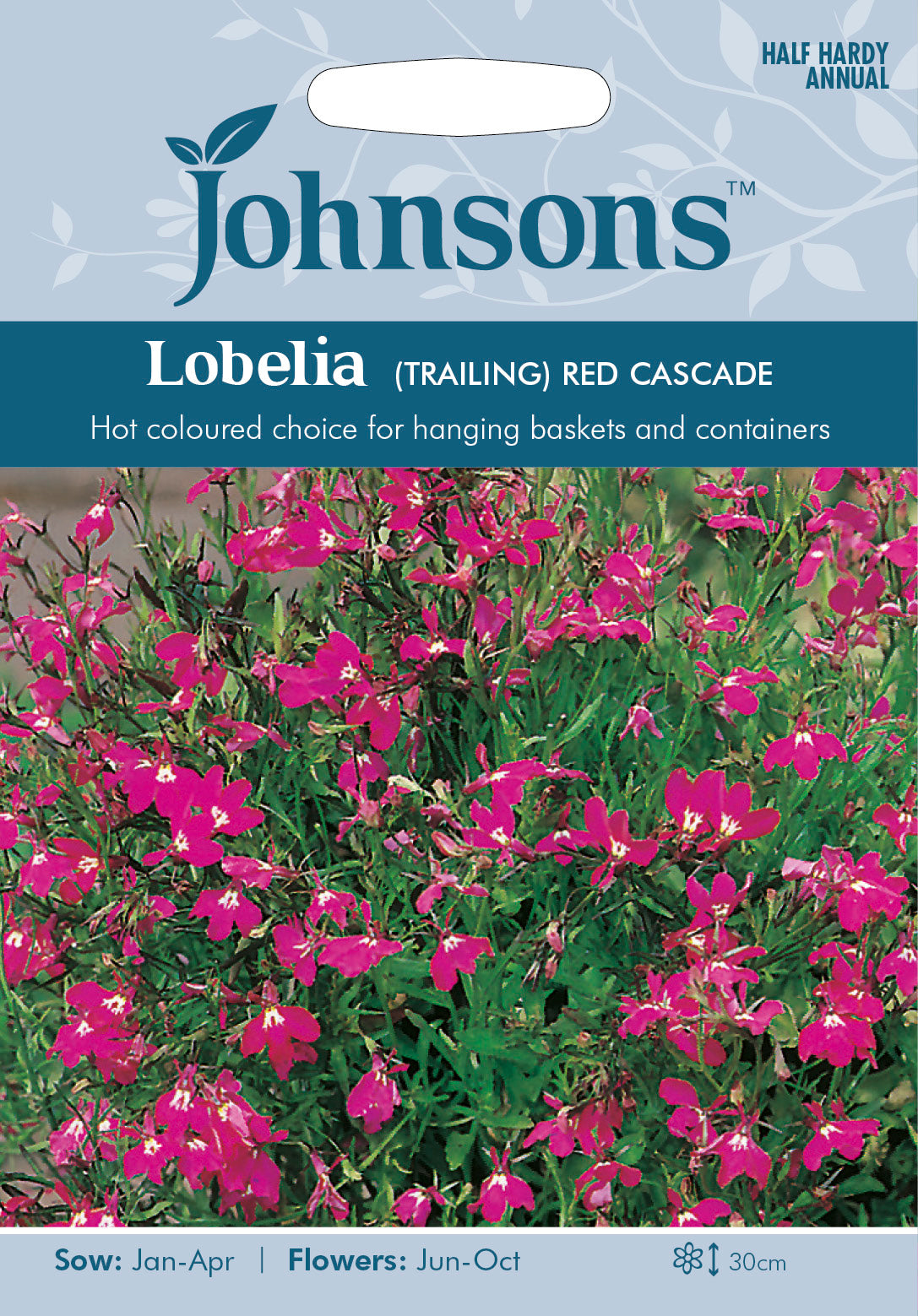 LOBELIA (Trailing) Red Cascade
