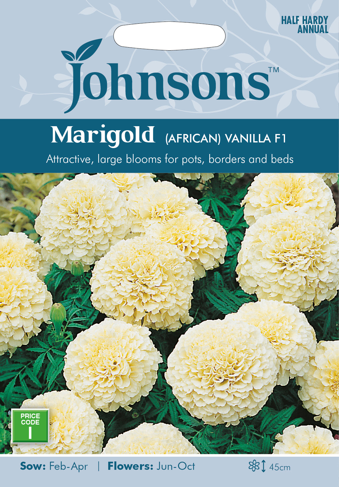 MARIGOLD (African) Vanilla F1
