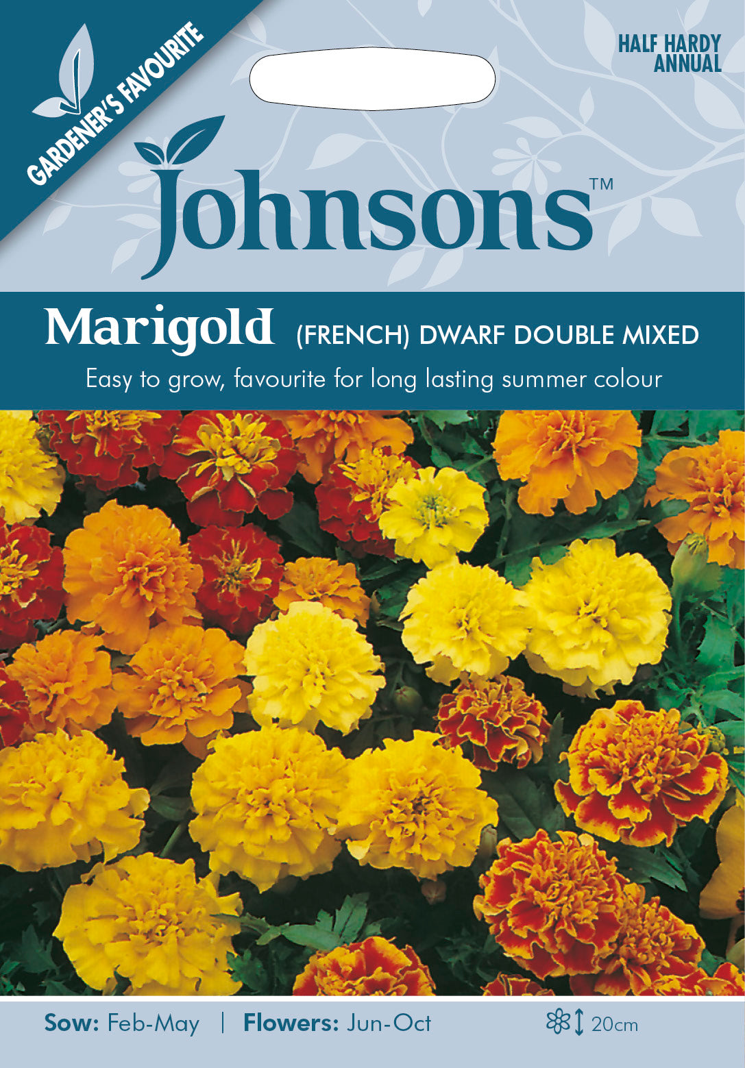 MARIGOLD (French) Dwarf Double Mixed