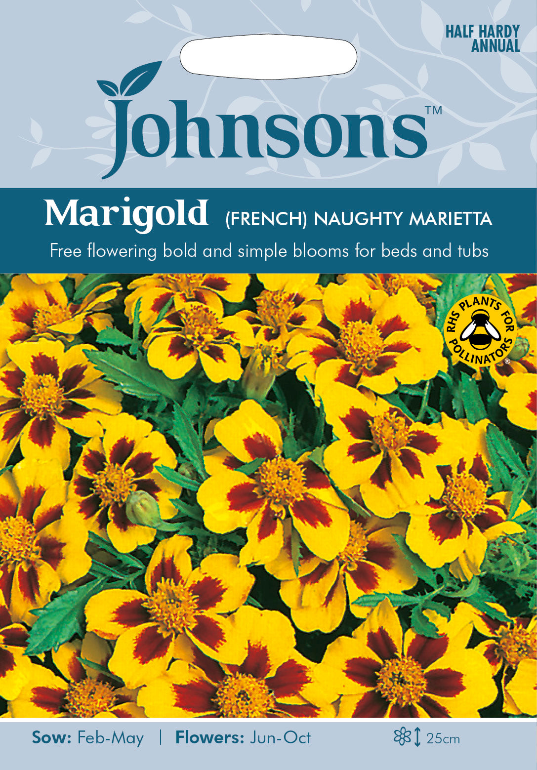 MARIGOLD (French) Naughty Marietta