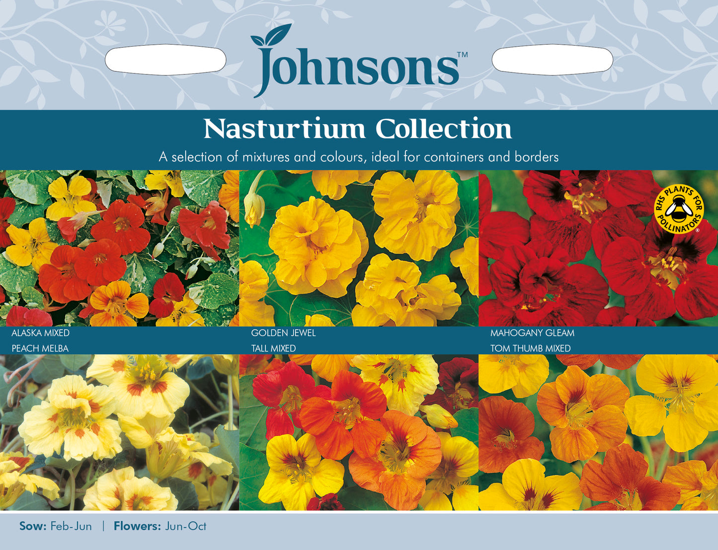 NASTURTIUM COLLECTION