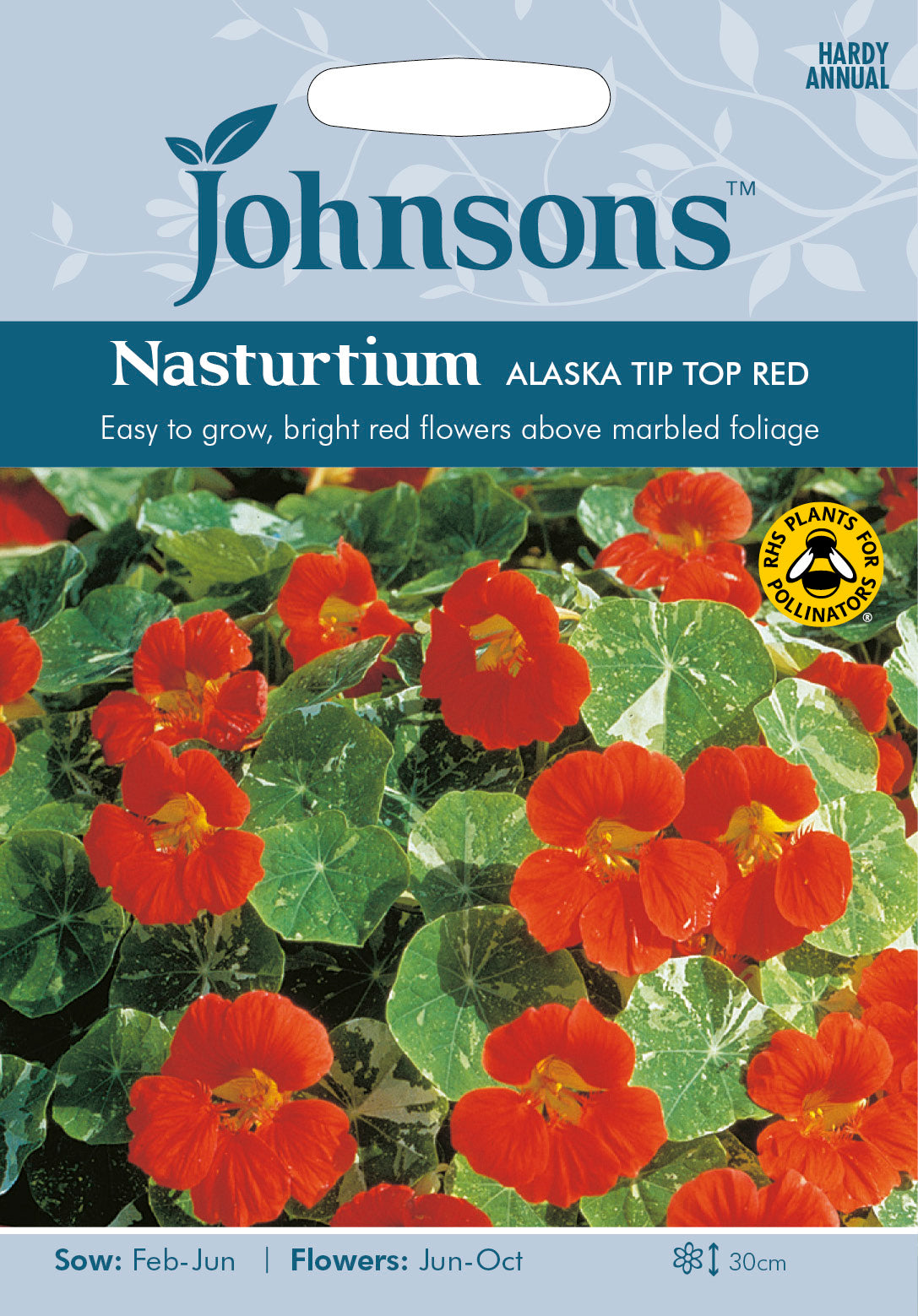 NASTURTIUM Alaska Tip Top Red