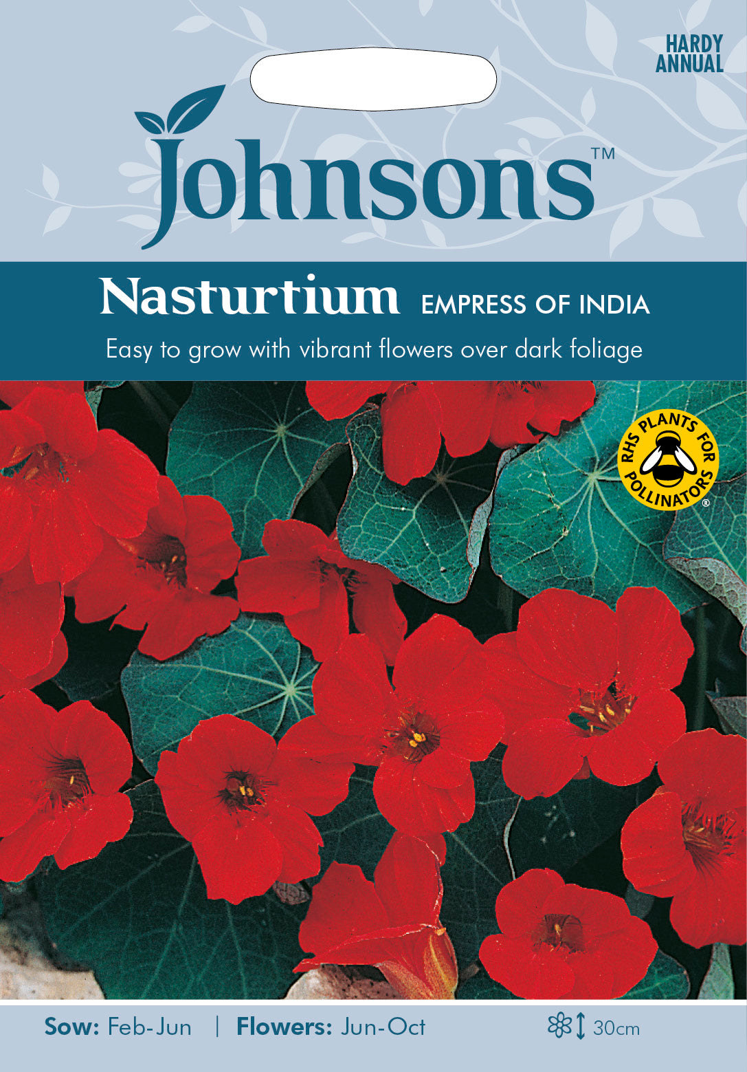 NASTURTIUM Empress of India