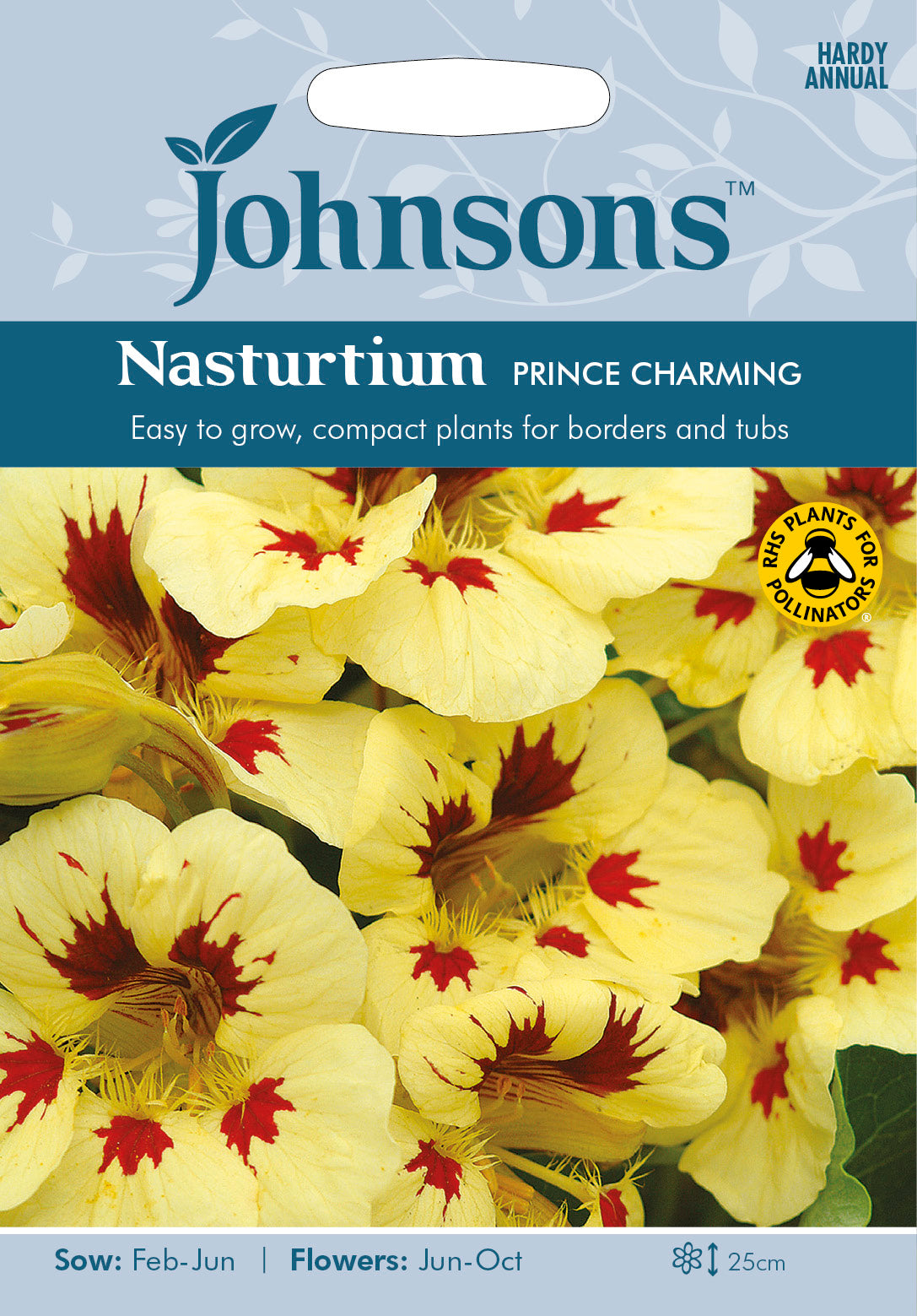 NASTURTIUM Prince Charming