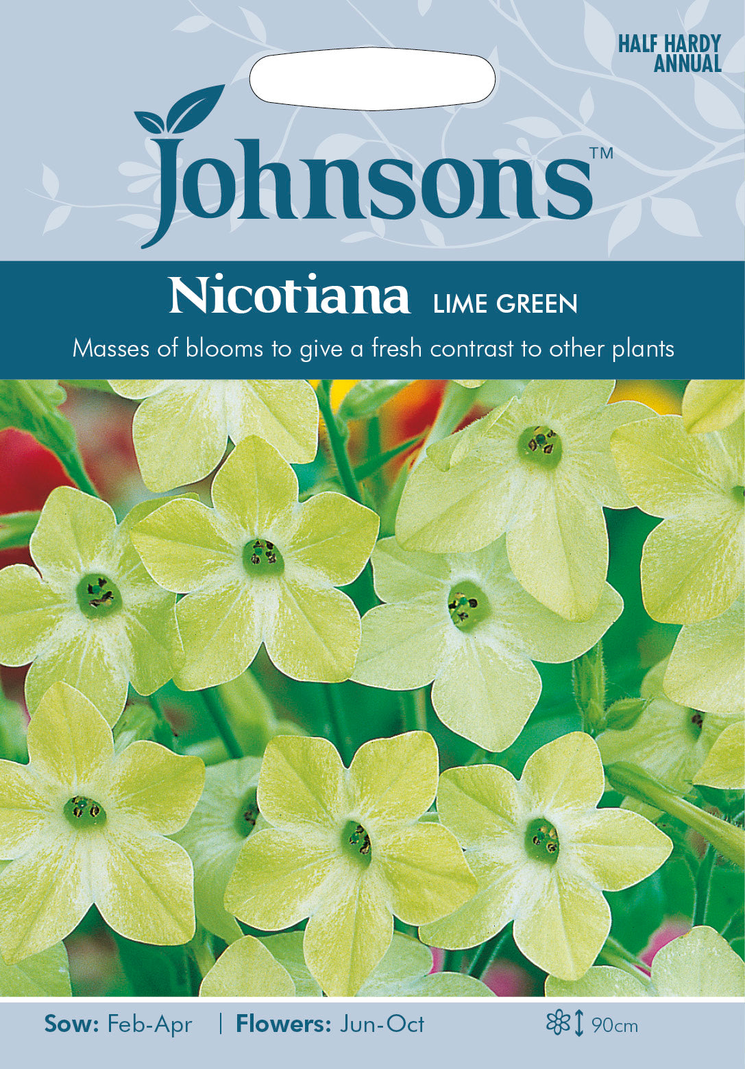 NICOTIANA Lime Green