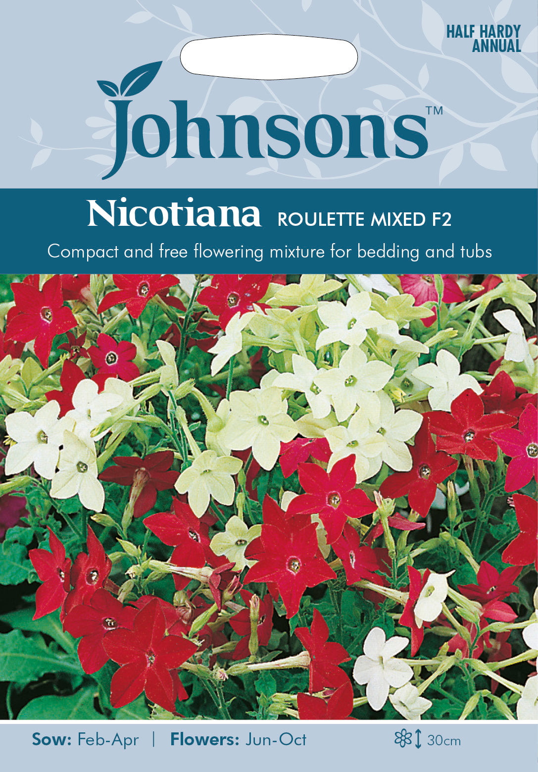 NICOTIANA Roulette Mixed F2