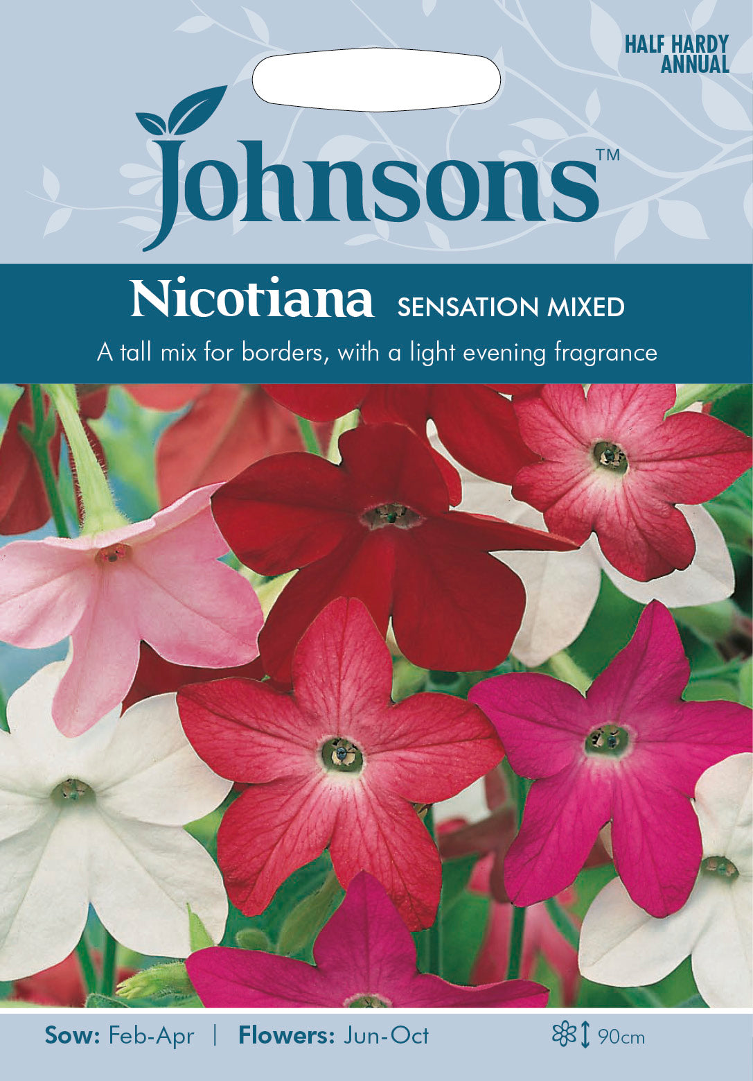 NICOTIANA Sensation Mixed