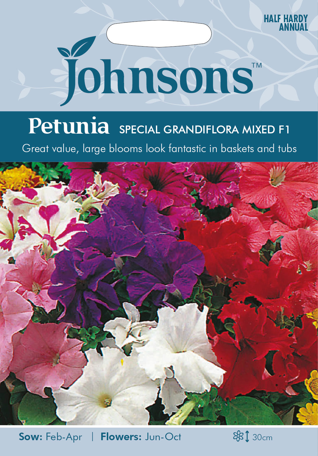 PETUNIA Special Grandiflora Mixed F1