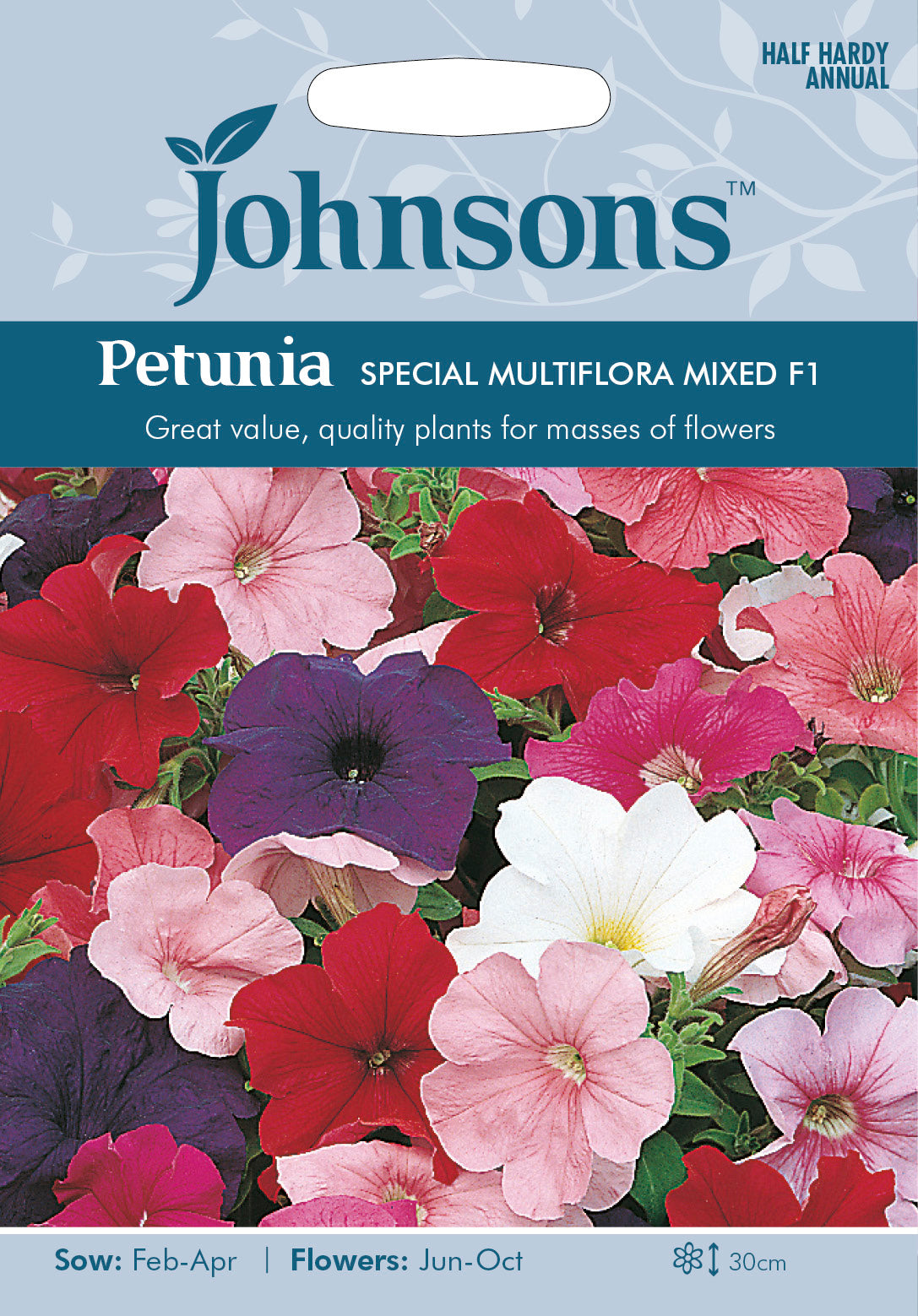 PETUNIA Special Multiflora Mixed F1
