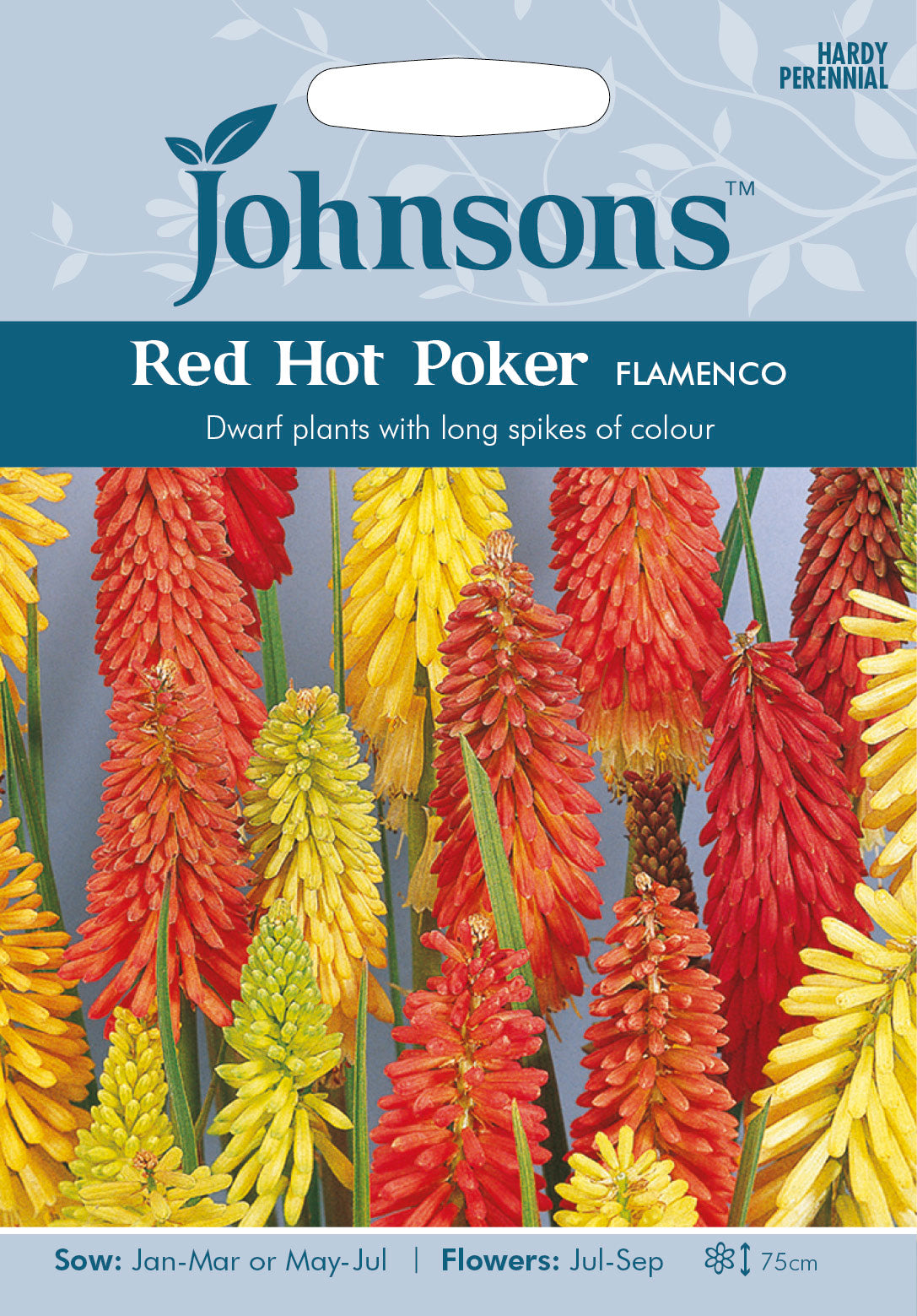 RED HOT POKER Flamenco