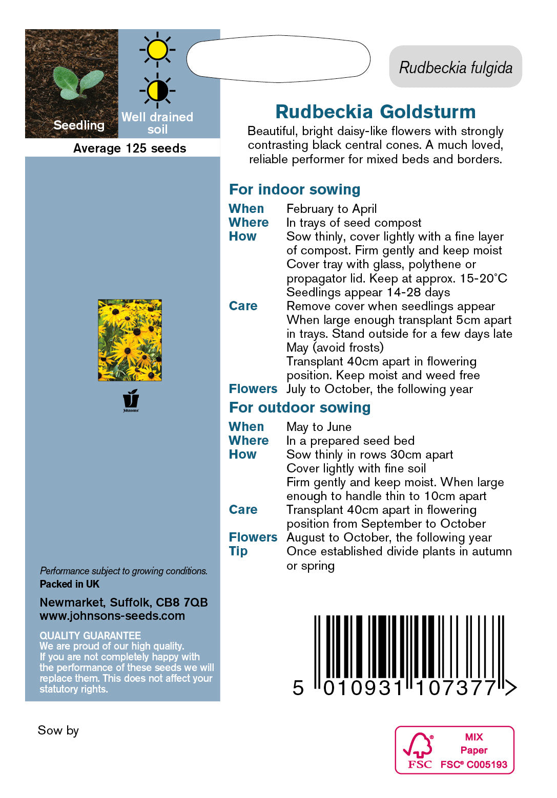RUDBECKIA Goldsturm