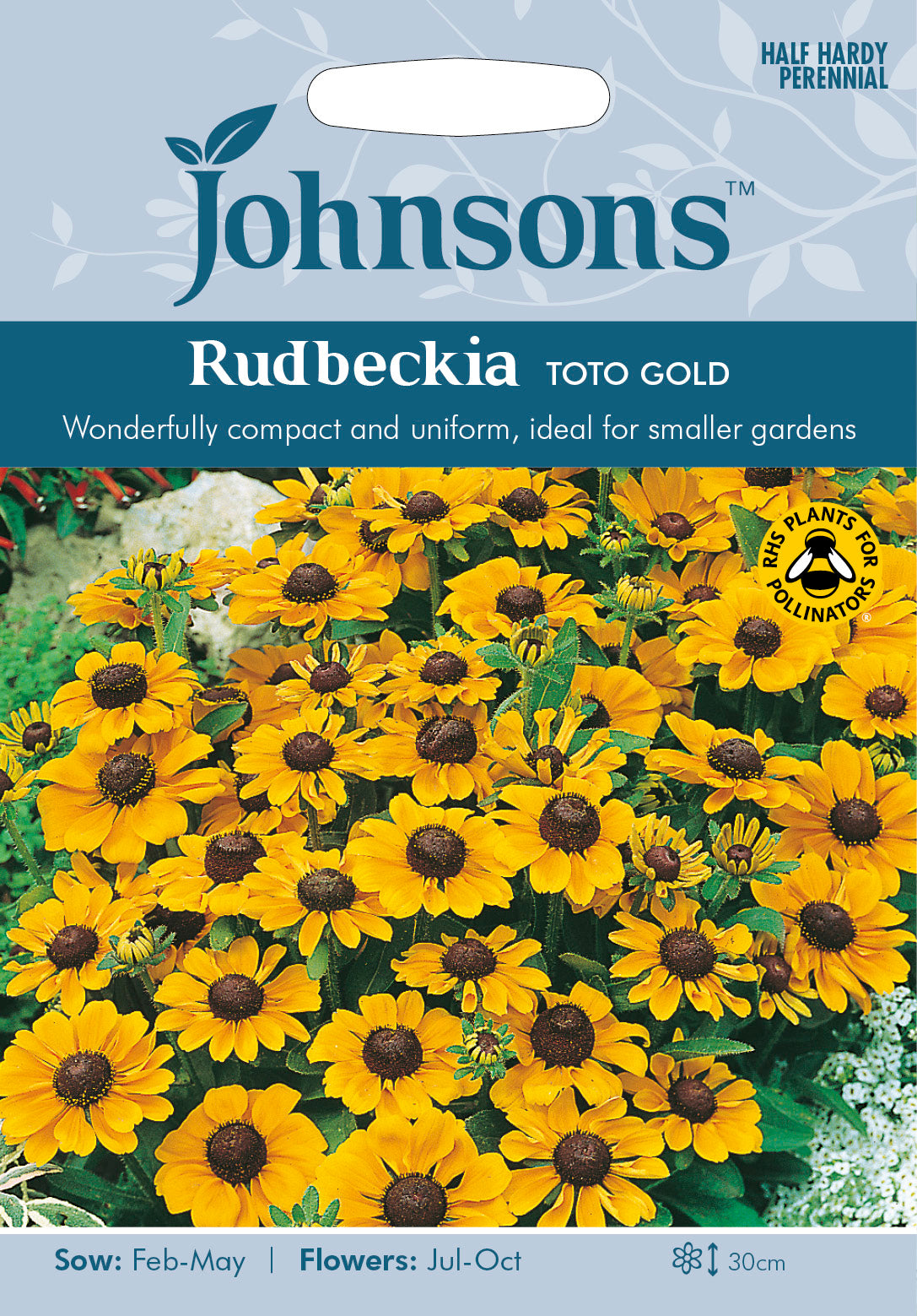RUDBECKIA Toto Gold