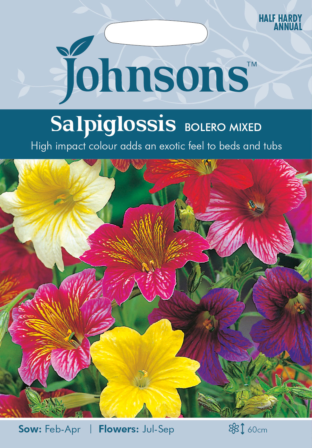 SALPIGLOSSIS Bolero Mixed