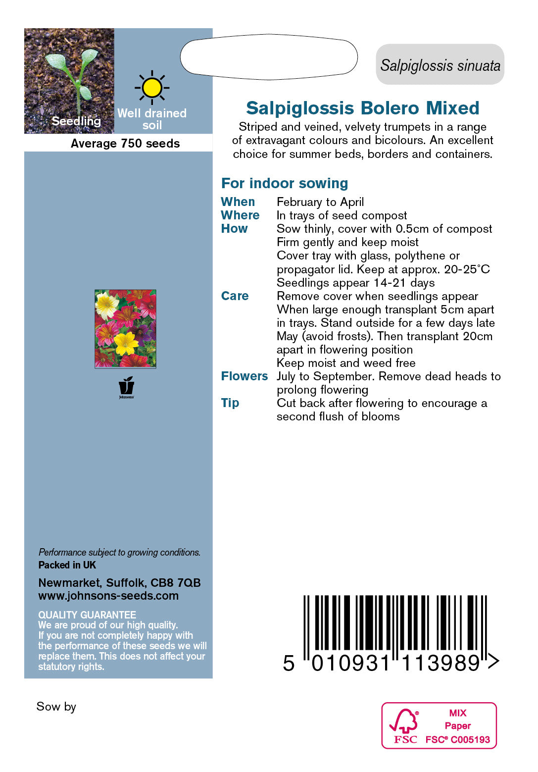 SALPIGLOSSIS Bolero Mixed