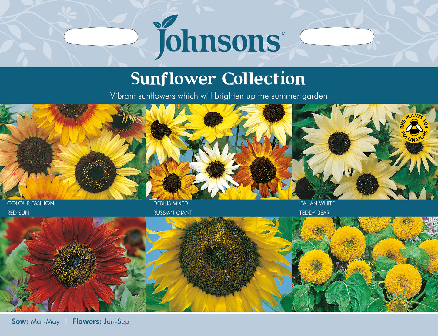SUNFLOWER COLLECTION