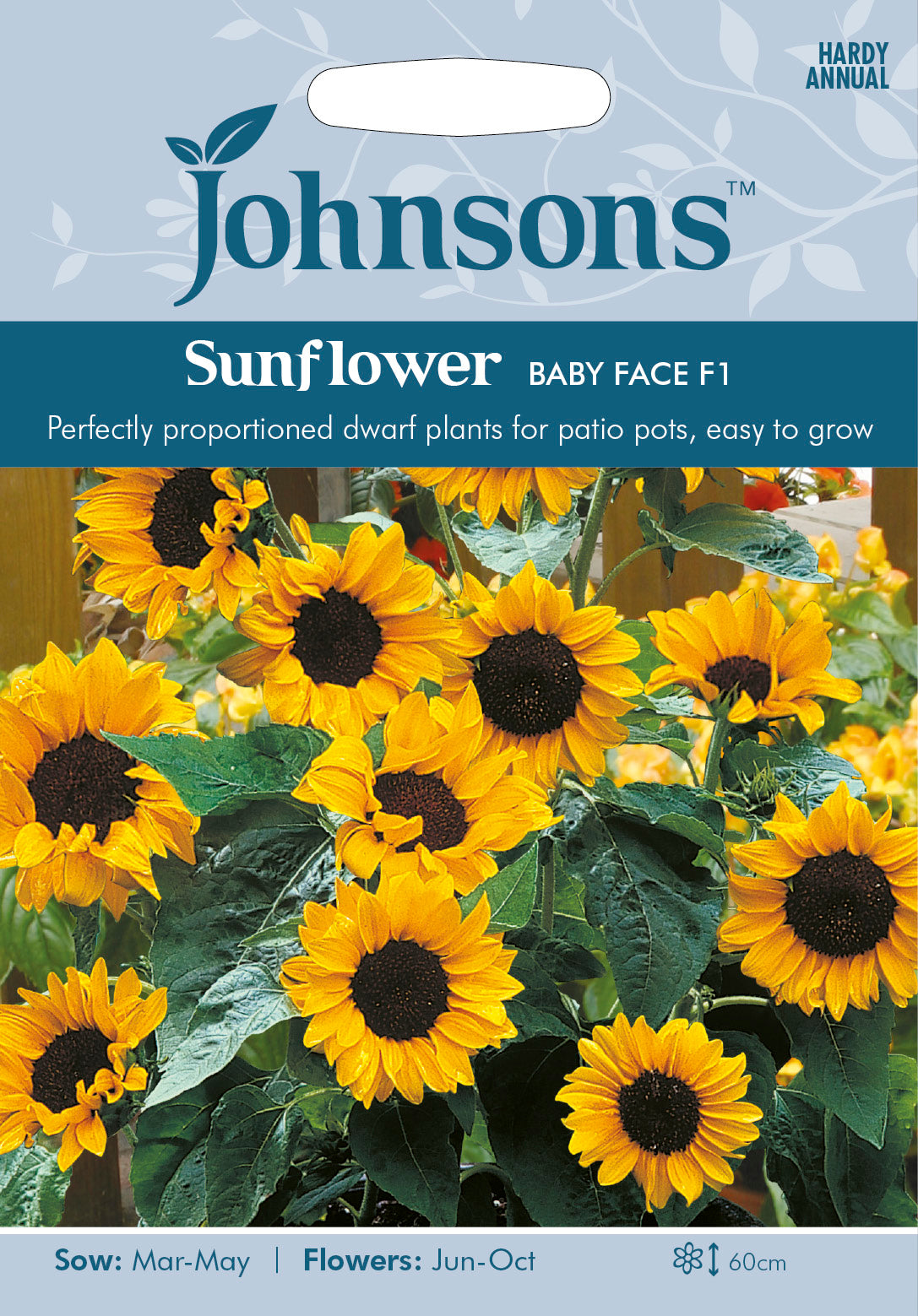 SUNFLOWER Baby Face F1