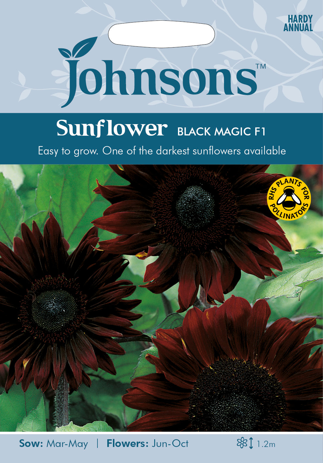 SUNFLOWER Black Magic F1