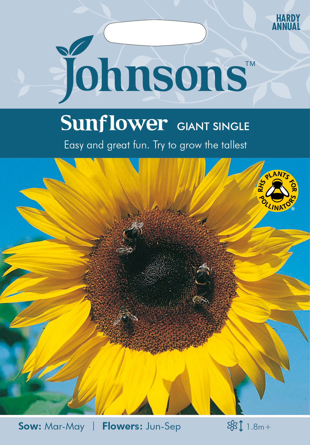 SUNFLOWER Giant Single