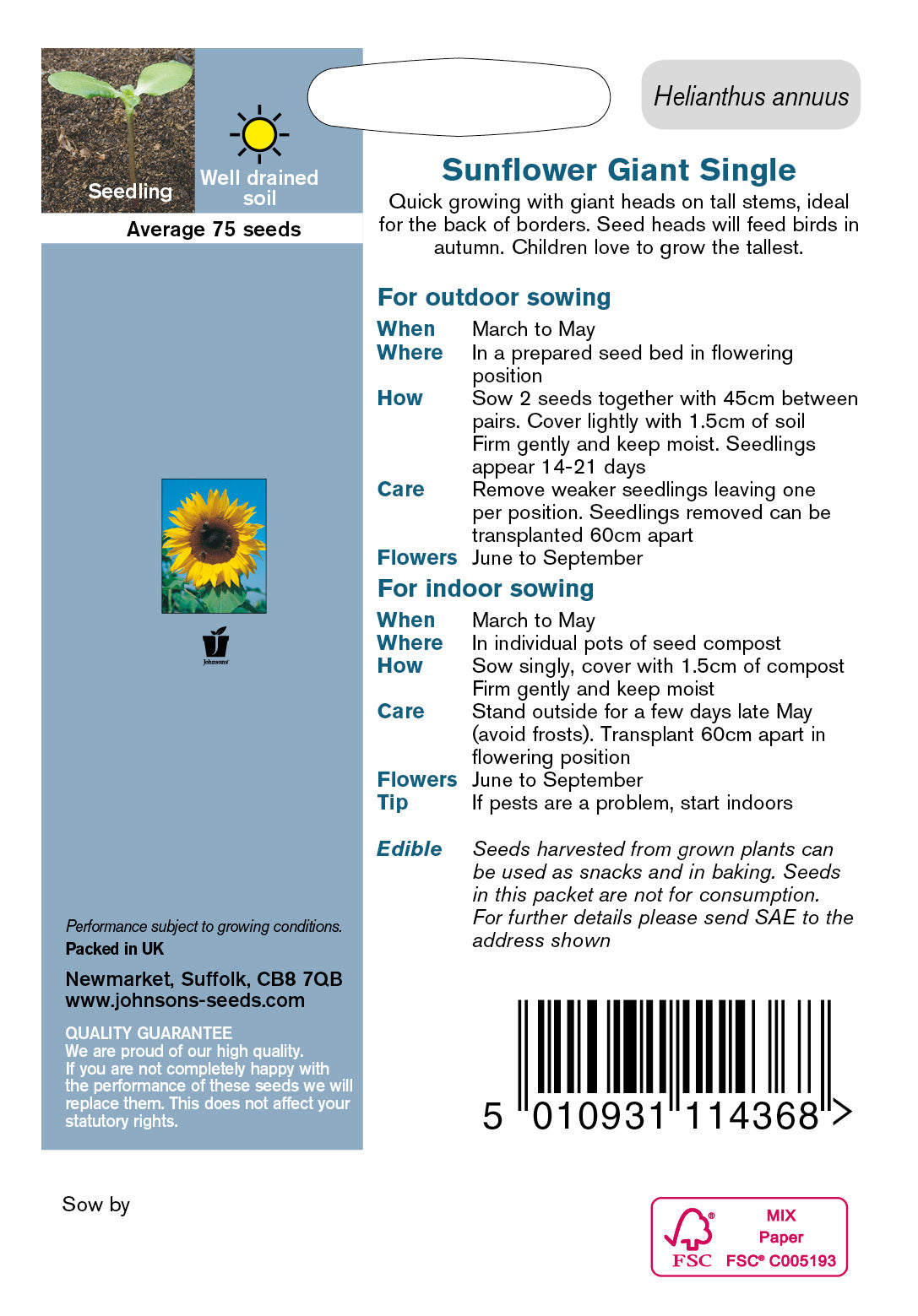 SUNFLOWER Giant Single