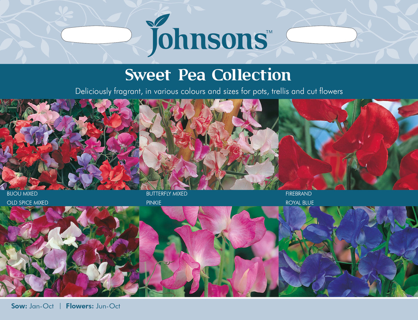 SWEET PEA COLLECTION