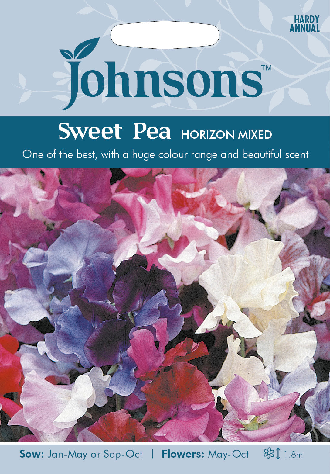 SWEET PEA Horizon Mixed