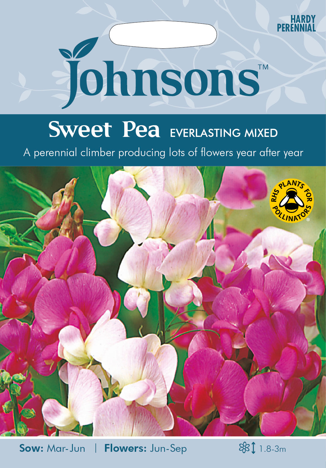 SWEET PEA Everlasting Mixed