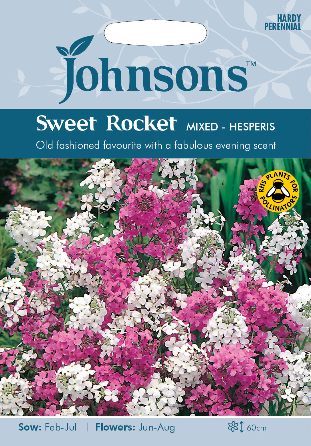 SWEET ROCKET Mixed Hesperis