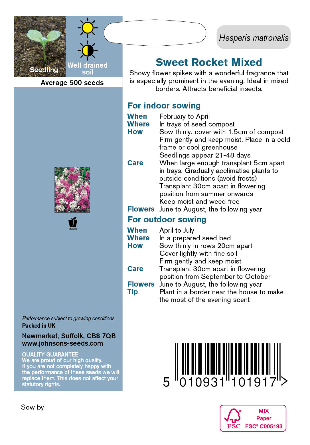 SWEET ROCKET Mixed Hesperis
