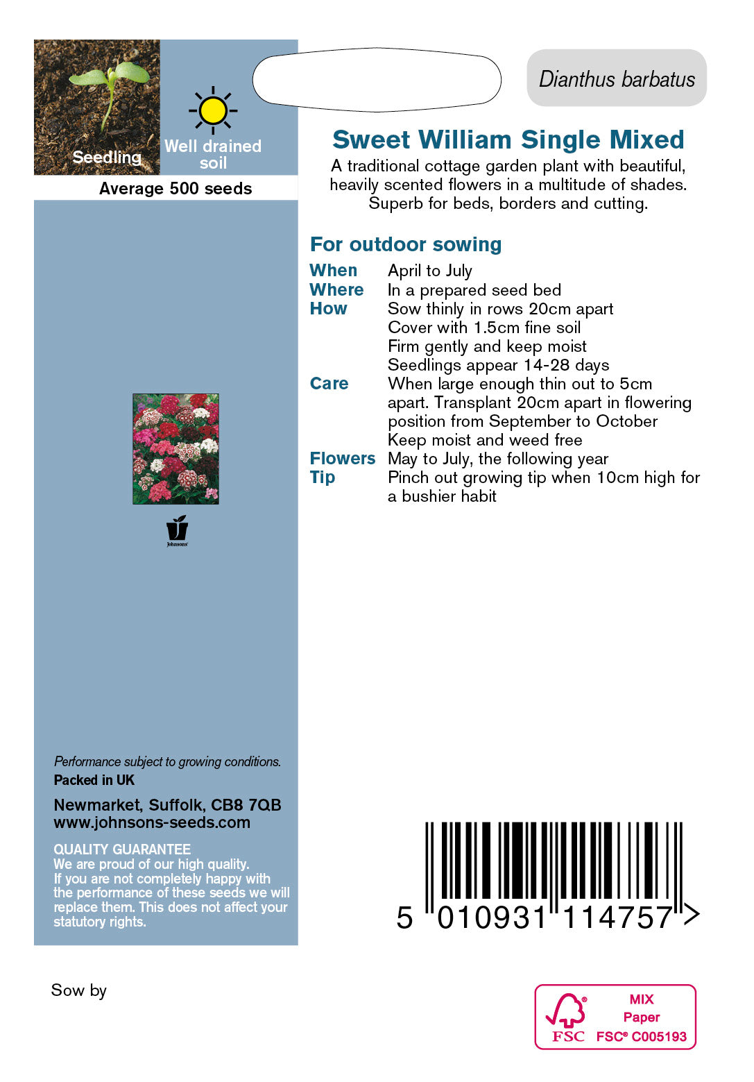 SWEET WILLIAM Single Mixed