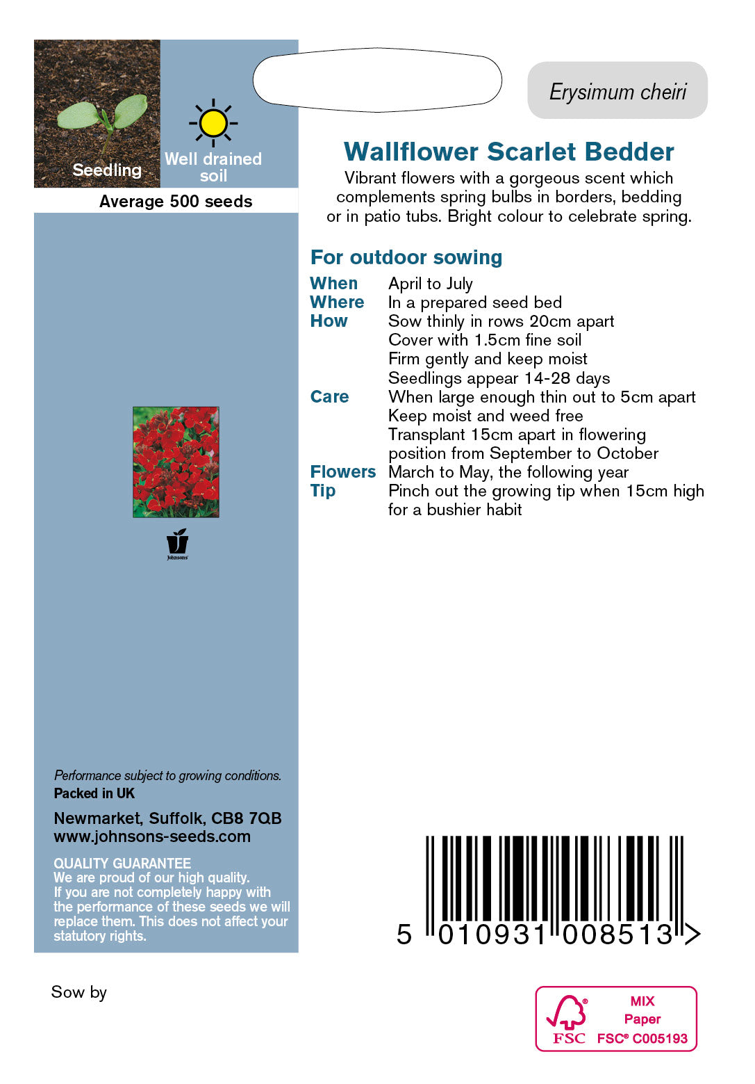 WALLFLOWER Scarlet Bedder