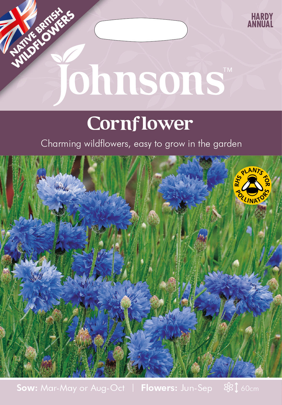 Wildflower Cornflower