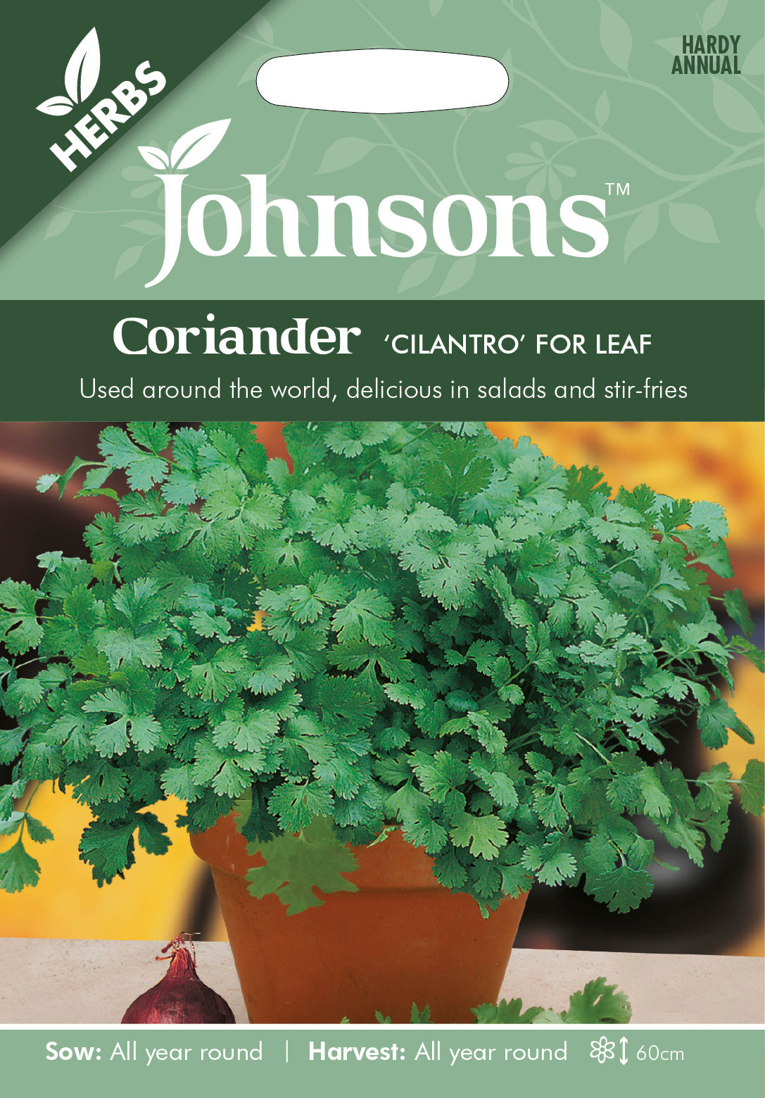 CORIANDER Cilantro for Leaf